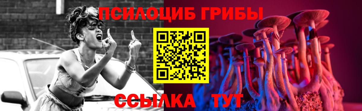 Галлюциногенные грибы GOLDEN TEACHER  Псилоцибиновые грибы мицелий  Осинники  Вход с VPN 